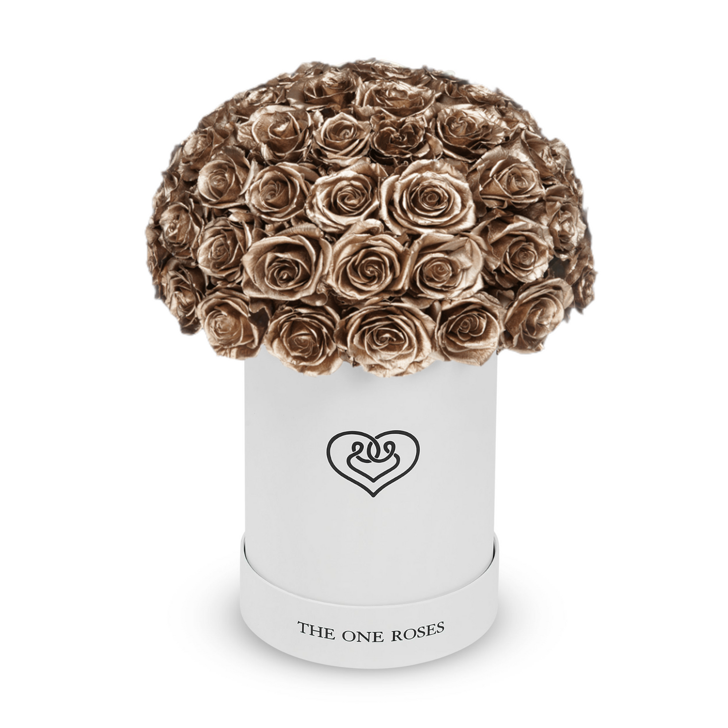 Round Dome | Basic White Box