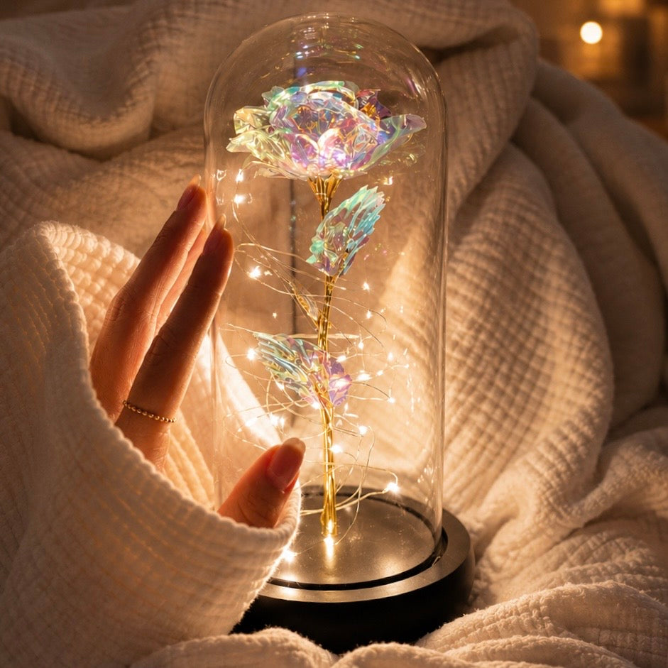 Enchanted Galaxy Collection