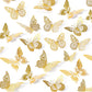 Butterflies