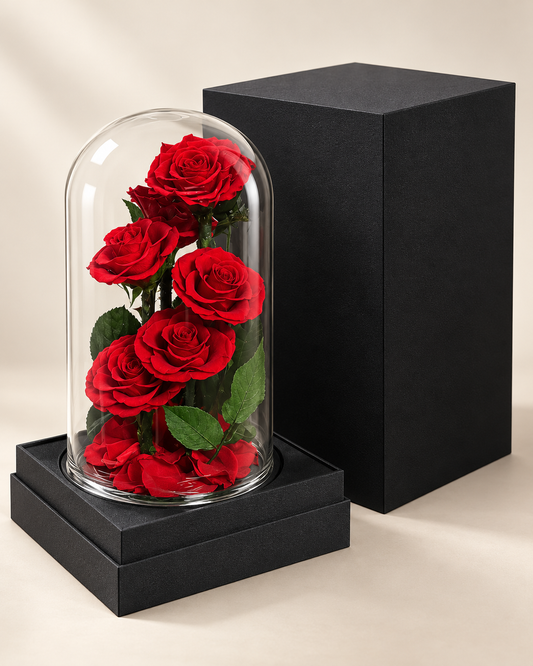 Enchanted Six Red Rose in Glass Dome (Large)