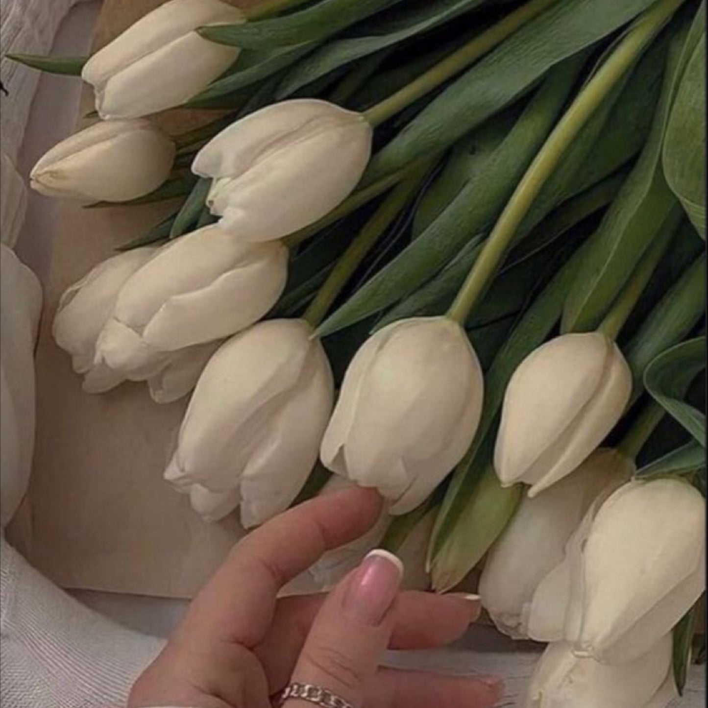 9 Stem Tulips