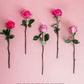 Exquisite Pink Bouquet