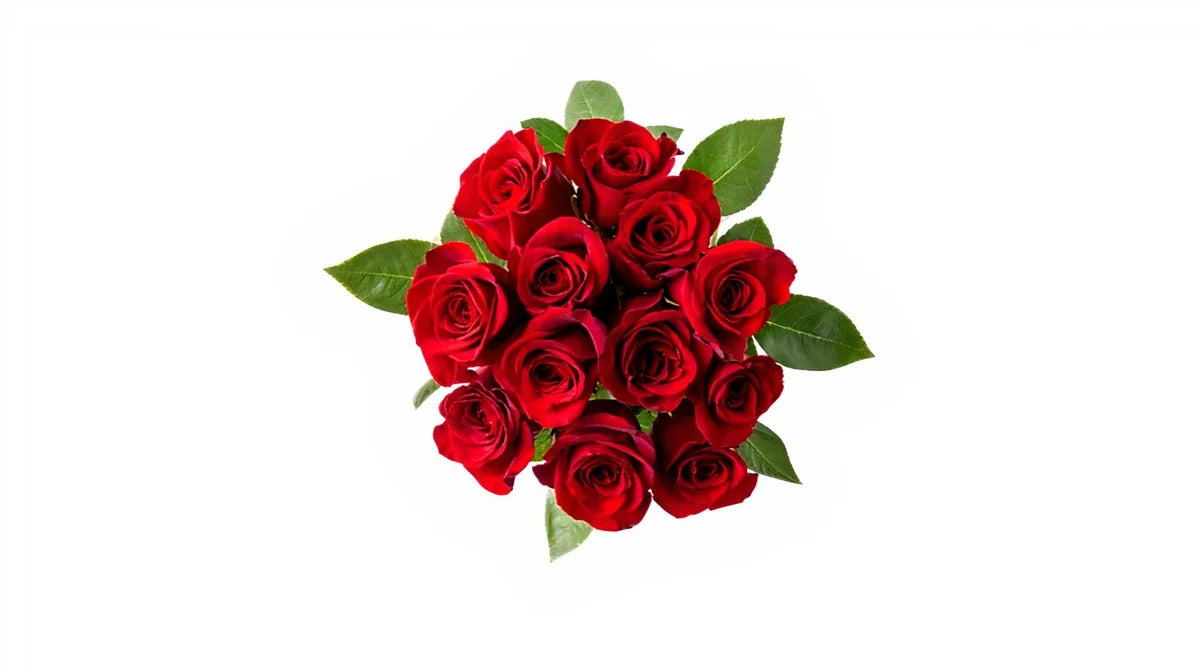 The One Roses Bouquet