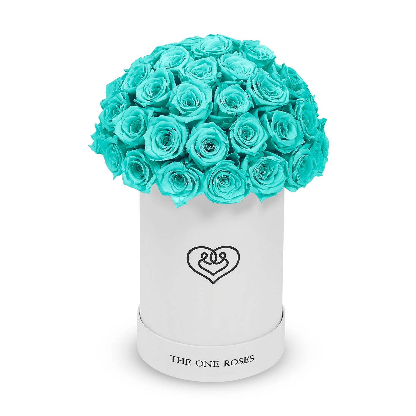 Round Dome | Basic White Box