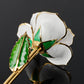 24K Gold Dipped Rose - Hearts Desire