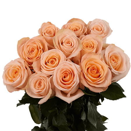 The One Roses Bouquet