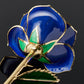 24K Gold Dipped Rose - Blue Velvet