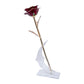 24k Gold Dipped Rose - Holiday Rose