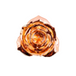 24k Gold Dipped Rose - Rose Gold