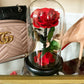 Enchanted Rose in a Glass Dome