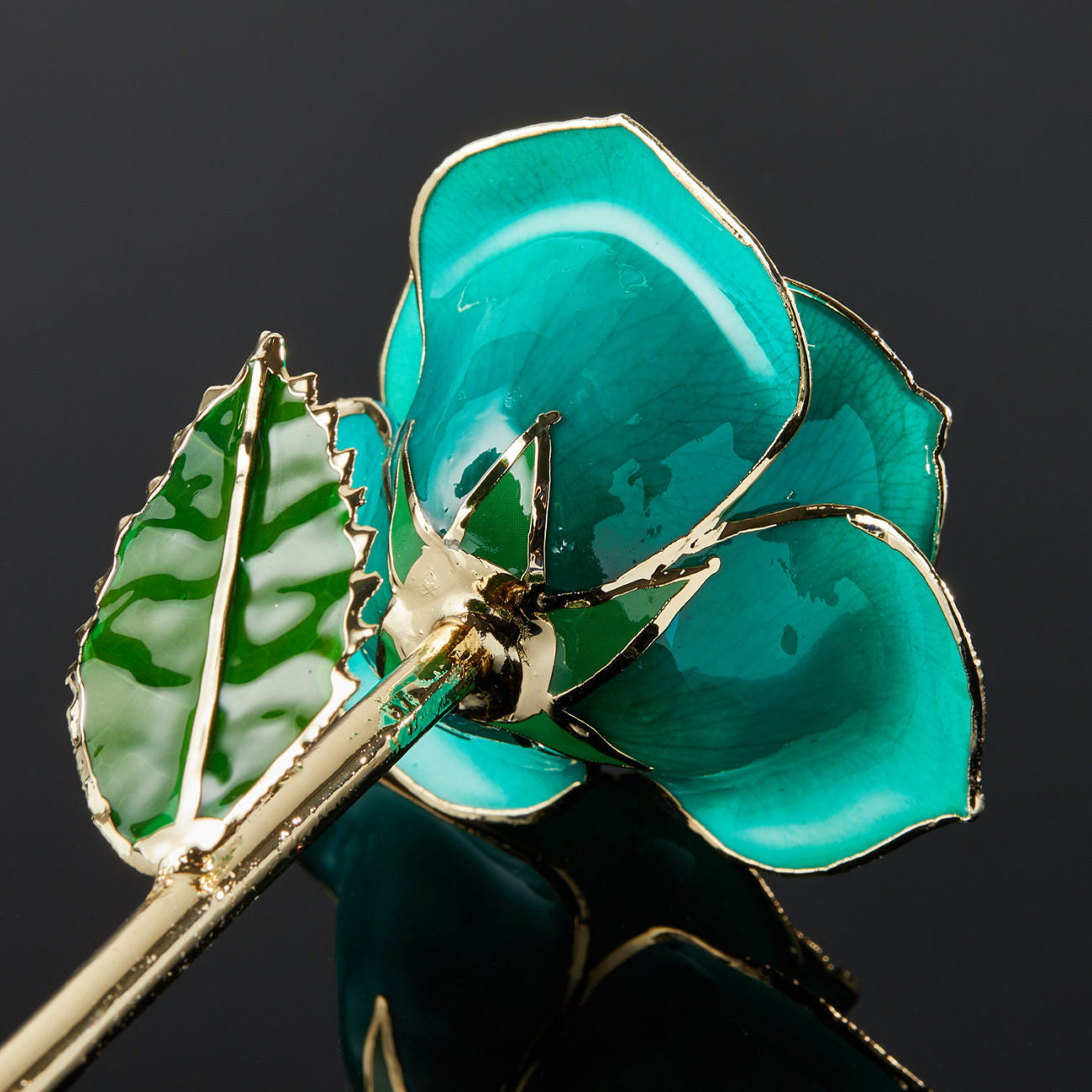 24k Gold Dipped Rose - Teal Rhapsody
