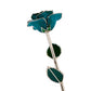 24k Gold Dipped Rose - Teal Rhapsody