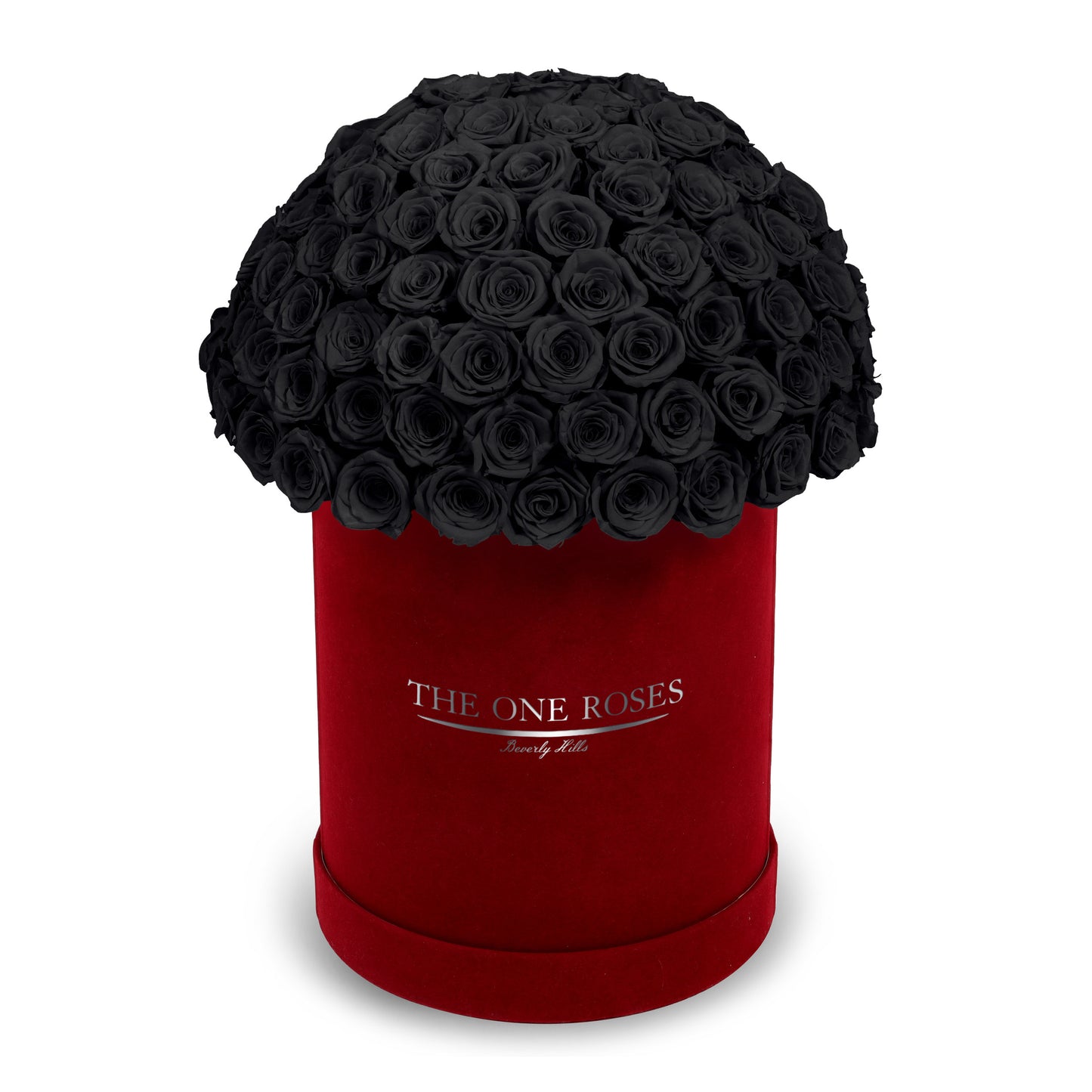 Suede Dome Deluxe | Premium Burgundy Box