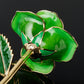 24k Gold Dipped Rose - Emerald Isle
