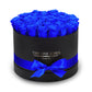 Round Flat | Premium Black Box