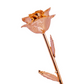 24k Gold Dipped Rose - Rose Gold