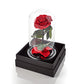 Enchanted Rose in a Glass Dome