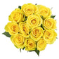 The One Roses Bouquet