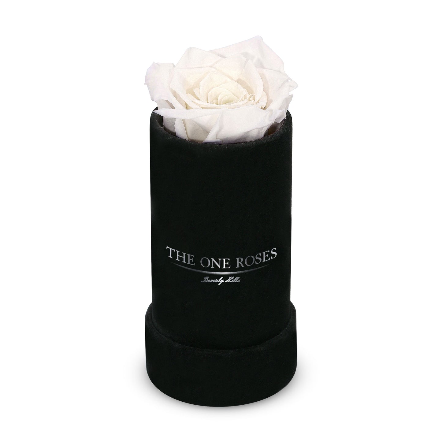 Suede Single | The One Black Box