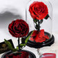 Enchanted Rose in a Glass Dome