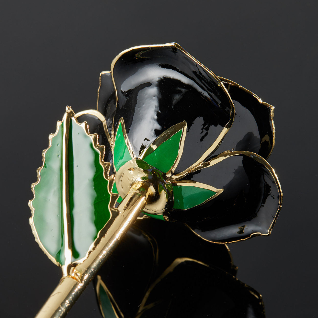24k Gold Dipped Rose - Midnight Black
