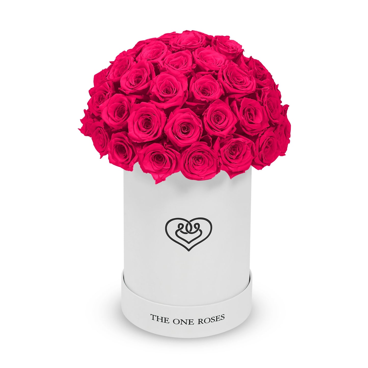 Round Dome | Basic White Box