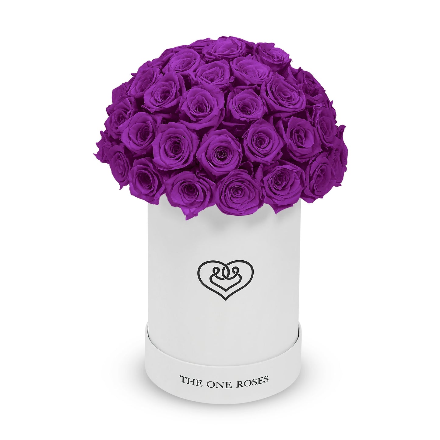 Round Dome | Basic White Box