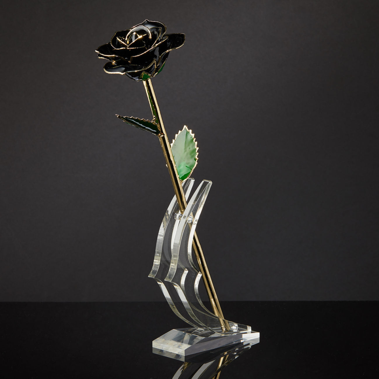 24k Gold Dipped Rose - Midnight Black