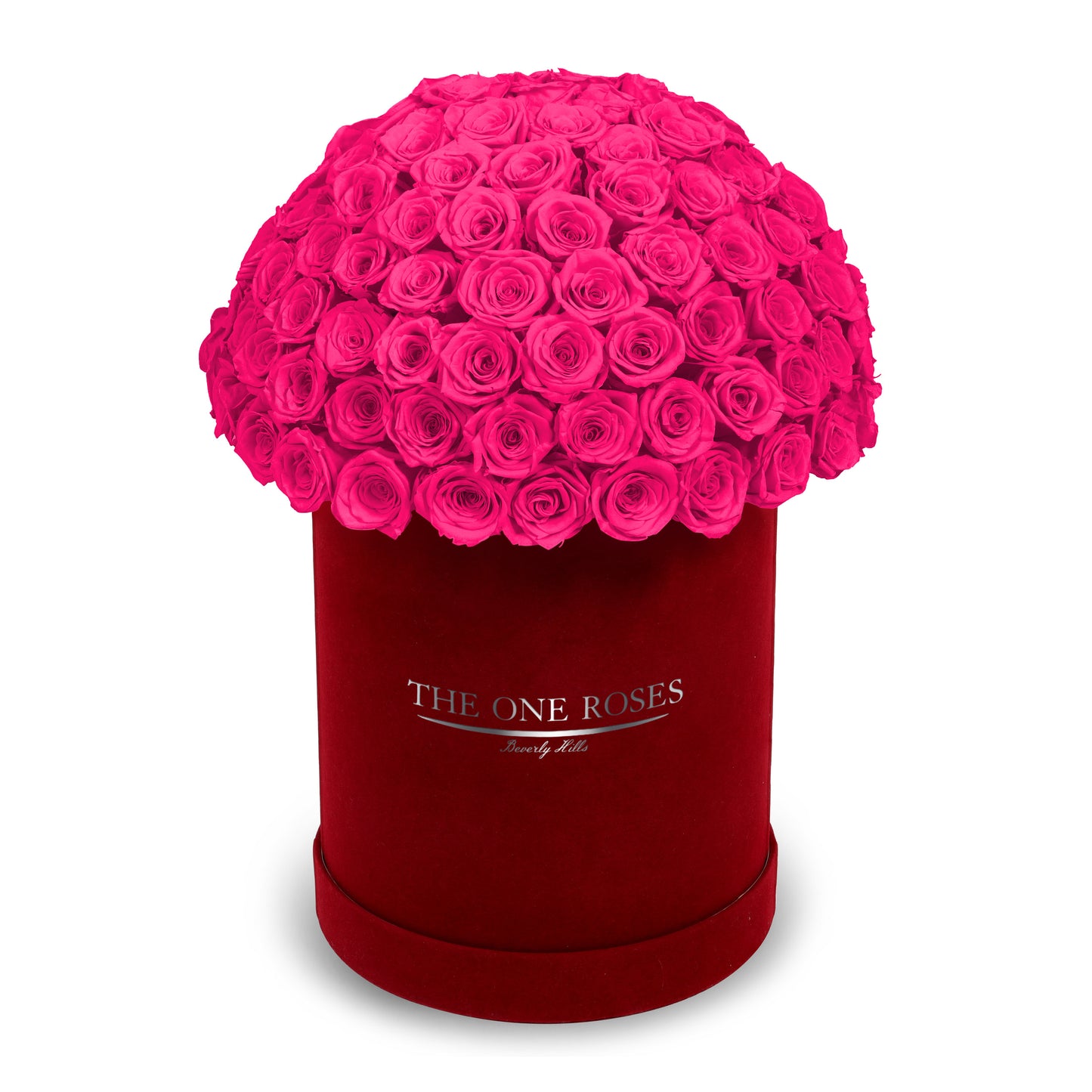 Suede Dome Deluxe | Premium Burgundy Box