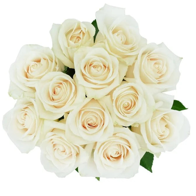 The One Roses Bouquet