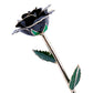 24k Gold Dipped Rose - Midnight Black