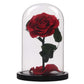 Enchanted Rose in a Glass Dome