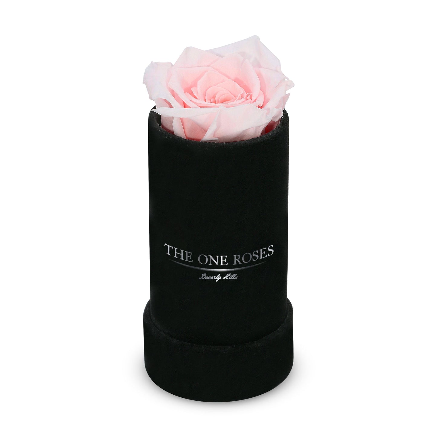 Suede Single | The One Black Box