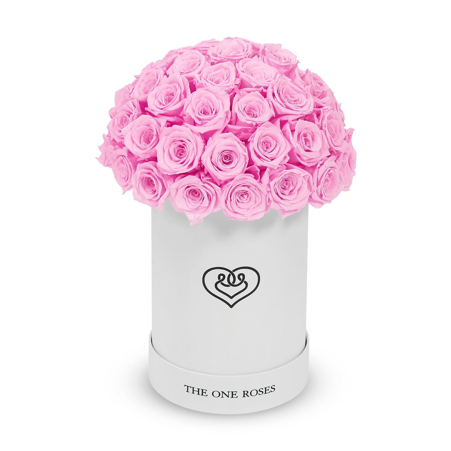 Round Dome | Basic White Box