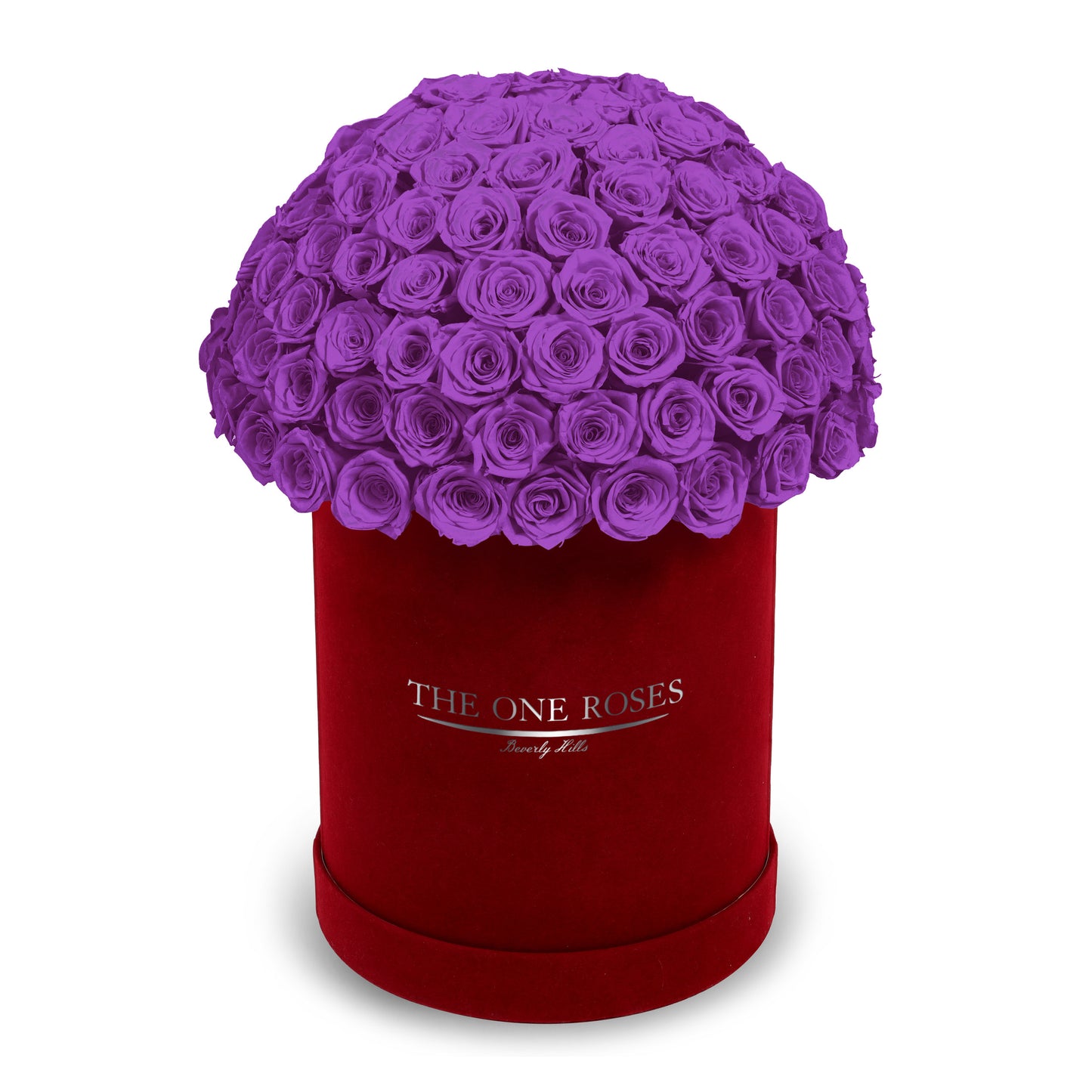 Suede Dome Deluxe | Premium Burgundy Box
