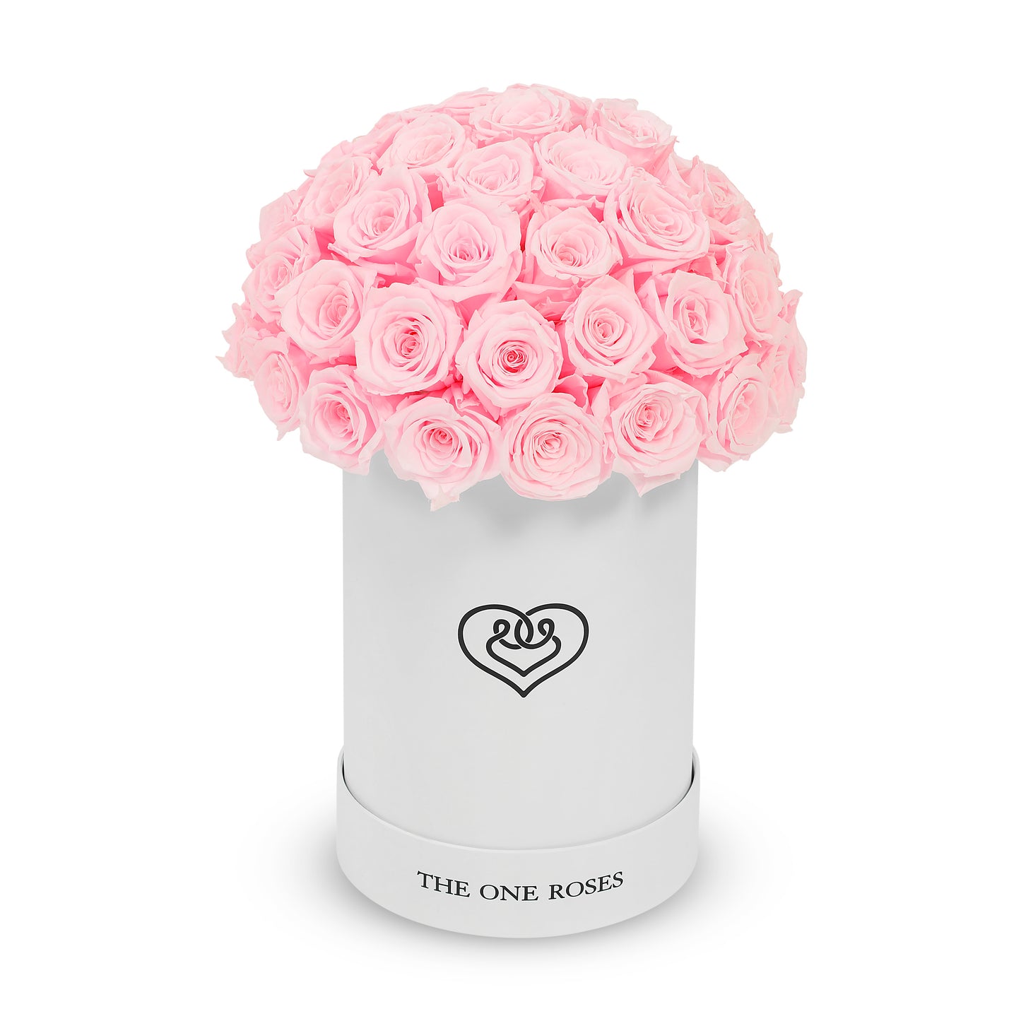 Round Dome | Basic White Box