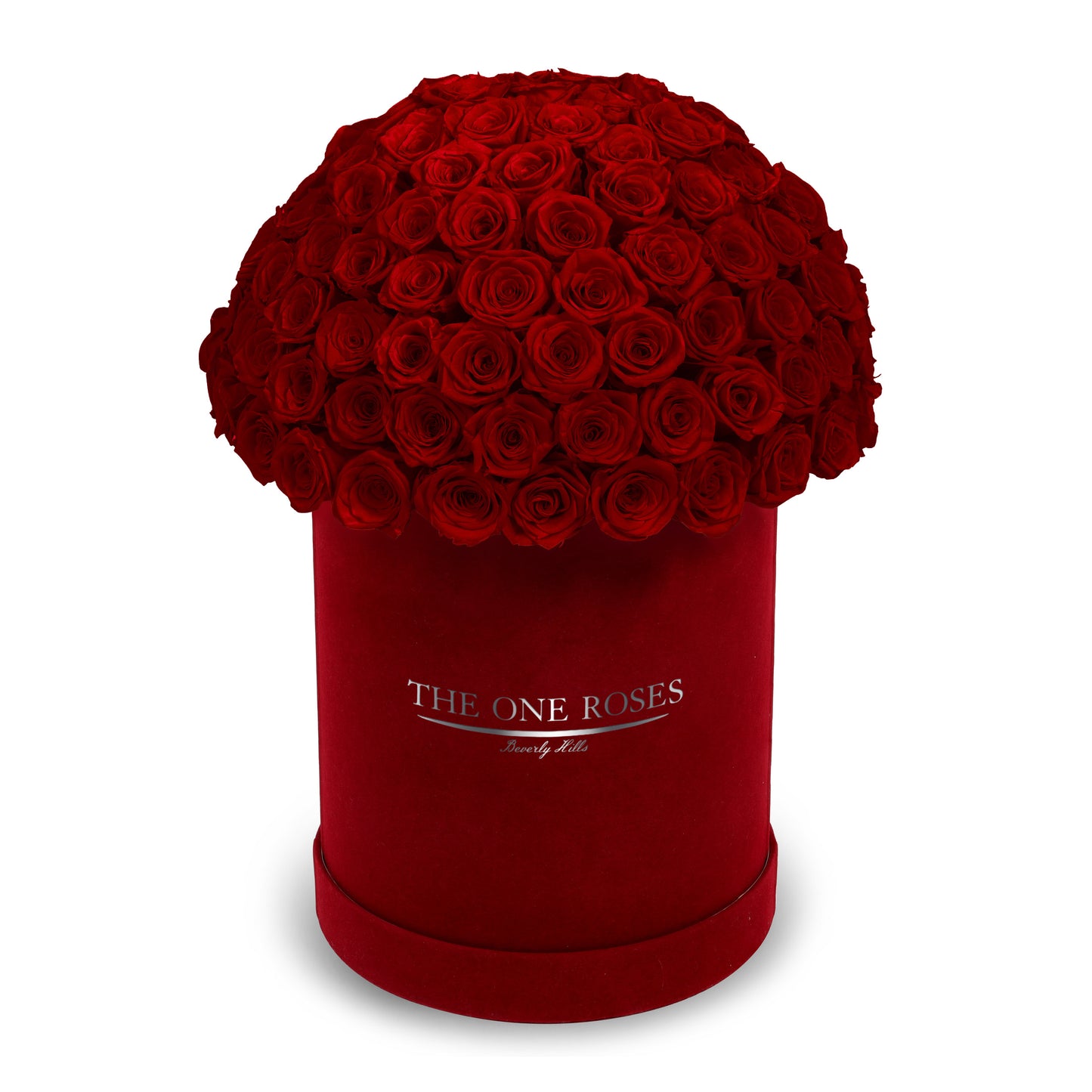 Suede Dome Deluxe | Premium Burgundy Box
