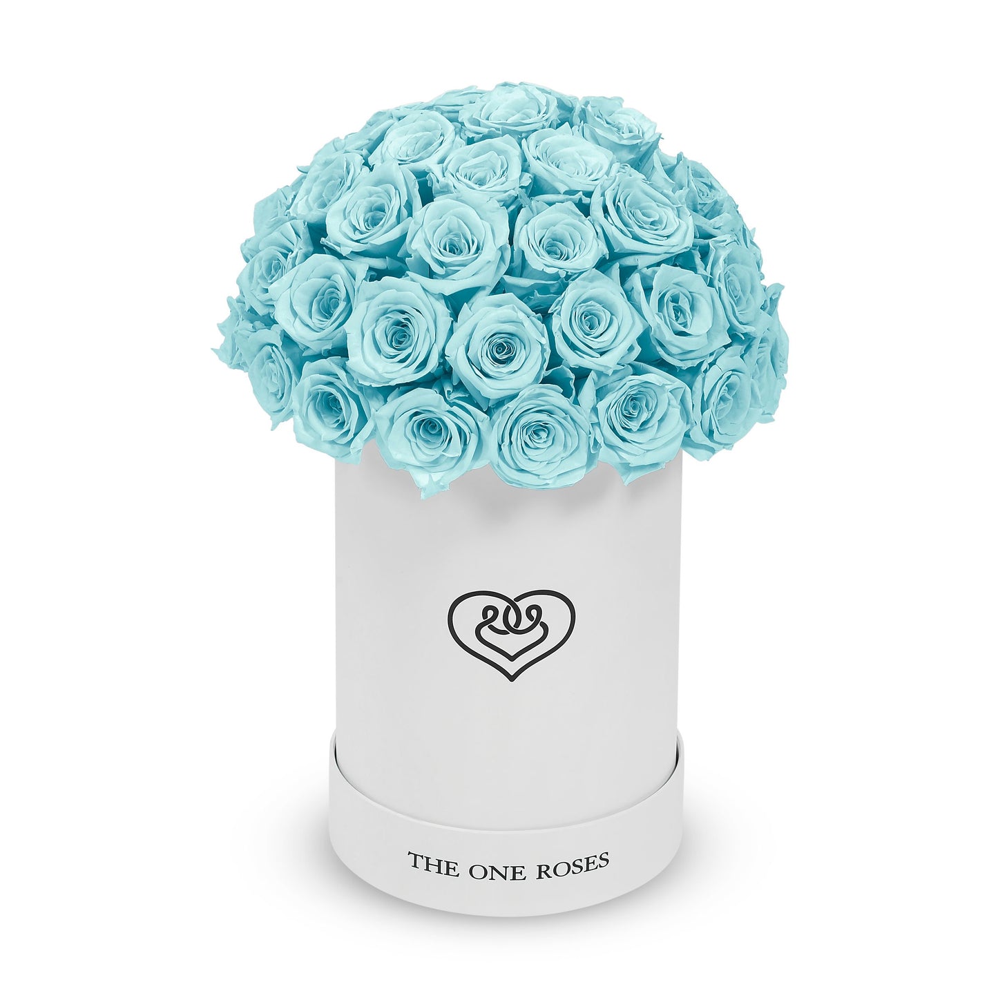 Round Dome | Basic White Box