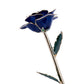 24K Gold Dipped Rose - Blue Velvet