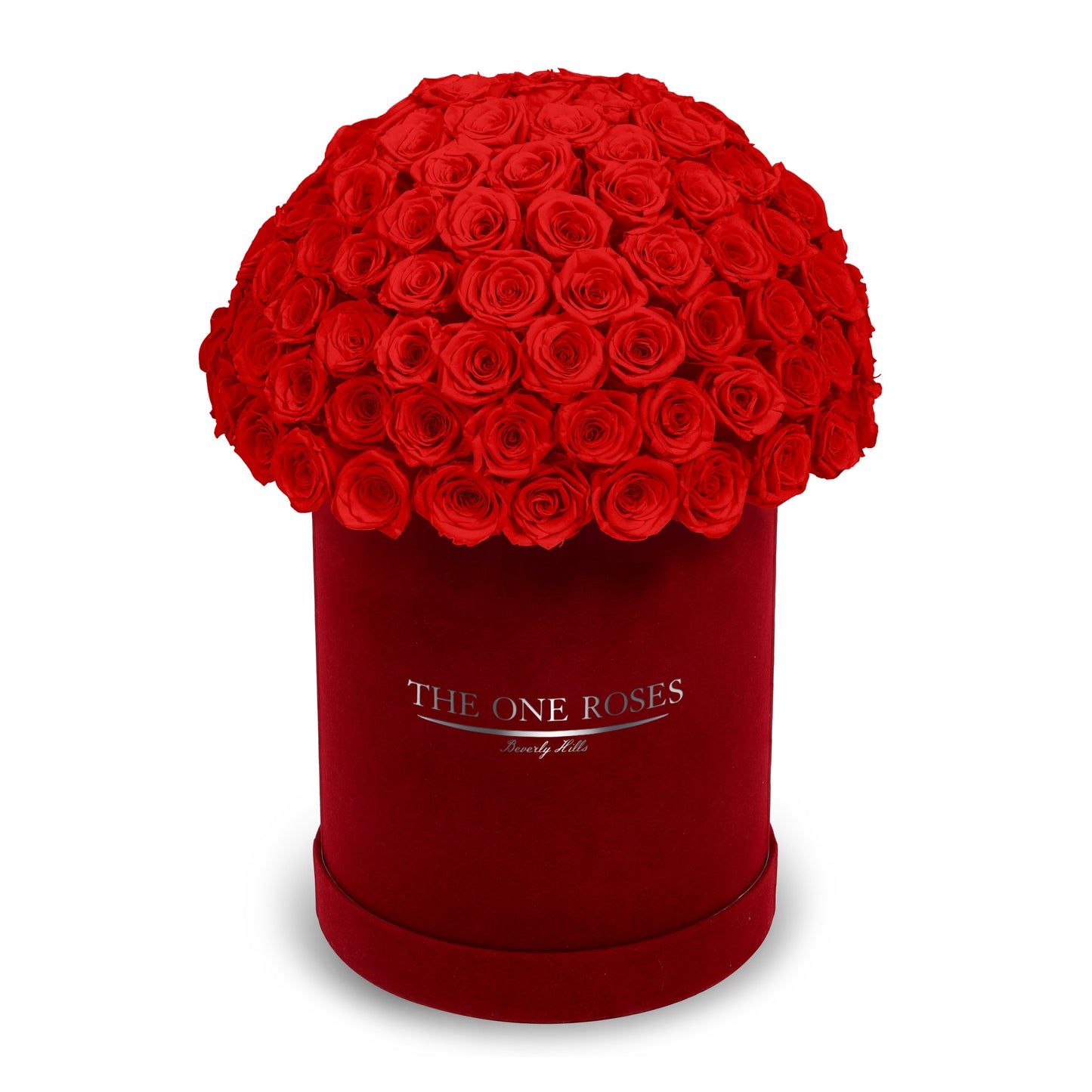 Suede Dome Deluxe | Premium Burgundy Box