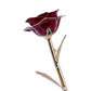 24k Gold Dipped Rose - Holiday Rose