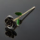 24k Gold Dipped Rose - Midnight Black