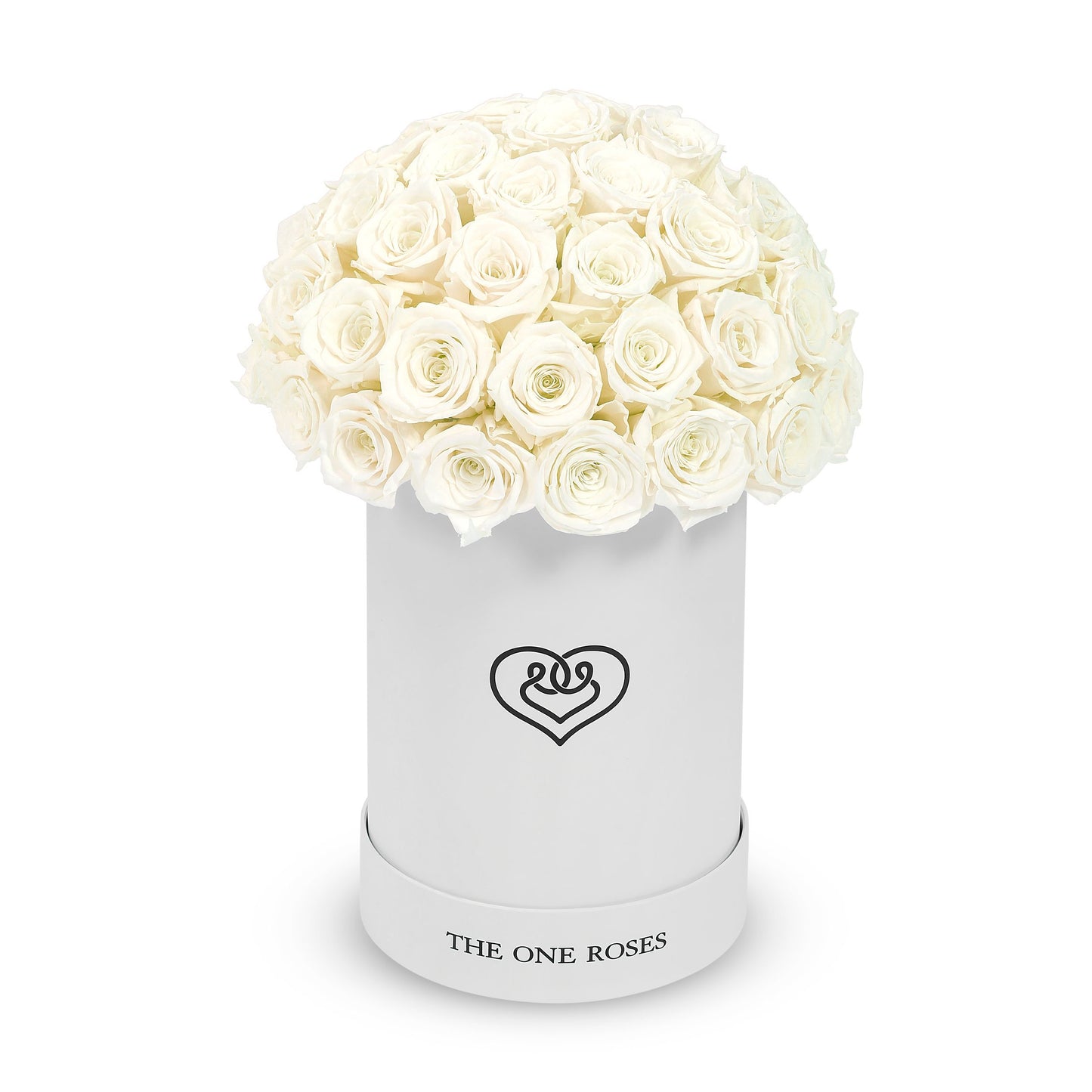 Round Dome | Basic White Box
